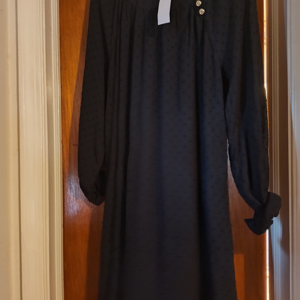 LOFT Black Long Sleeve Dress with Button Accents